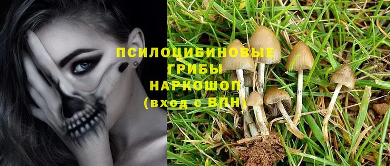 ОМГ ОМГ вход  Алзамай  Галлюциногенные грибы MAGIC MUSHROOMS 